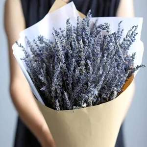 Dried lavender bouquet detail view, natural flower arrangement for home decor and gifts.