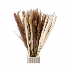 Natürliches getrocknetes Pampasgras Blumenstrauß rustikale florale Deko skandinavisches Design