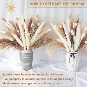 Natural dried pampas grass bouquet fluffy reed rabbit tail grass home decor floral arrangement.