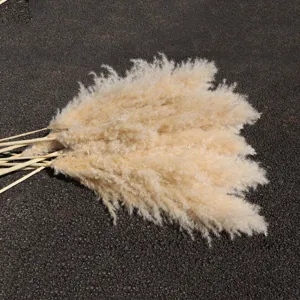 Natural dried pampas grass large fluffy reed plumes for wedding home decor floral arrangement