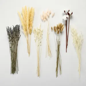 Wholesale assorted dried flower bouquets featuring pampas grass and lavender for home decor.