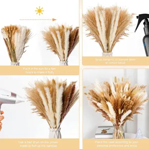 Bouquet de herbe de pampa séchée naturelle arrangement floral moelleux décoration maison