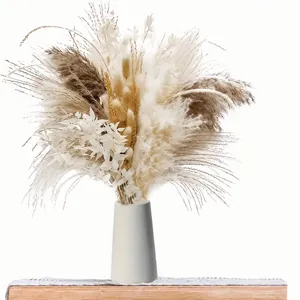 Dried pampas grass bouquet with white vase for boho home decor tabletop detail view