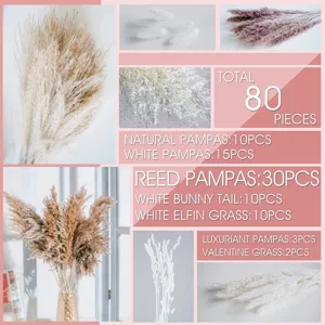 Bouquet d'herbe de pampas séchée naturelle 80 pcs queues de lapin roseau pour déco maison.