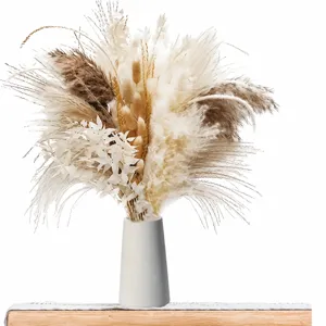 Dried pampas grass bouquet set with white ceramic vase for home decor boho style detail view