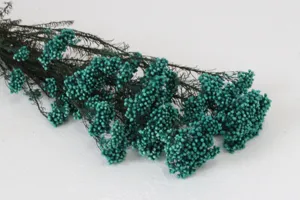 Botte de fleurs de riz turquoise séchées et préservées pour décoration DIY maison et bureau.