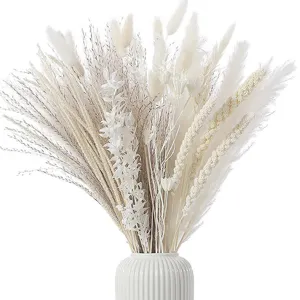 White dried pampas grass bouquet with bunny tails and reed in ceramic vase for home decor.