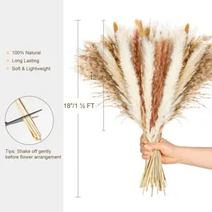 Detail de bouquet de herbe de pampas sechee naturelle avec guides de taille pour decor.