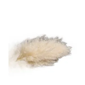 Natural fluffy pampas grass dried flowers off white reed for home decor wedding party props.