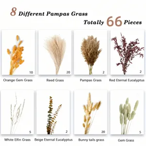 Natural dried pampas grass bouquet 66 pieces assorted fluffy floral decor for home and party.