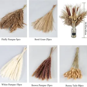 Dried pampas grass bouquet bunny tails natural reed flowers for home decor wedding party 43cm