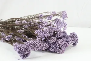 Gros plan sur le détail d'un bouquet de fleurs de riz violettes, déco florale naturelle.