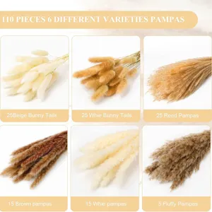 110 pcs d'herbe de pampas séchée et queues de lapin naturelles bouquet floral déco