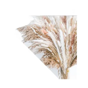 Bouquet d'herbe de pampas séchée naturelle, queue de lapin duveteuse, roseau pour déco.