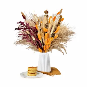 Natural dried pampas grass bouquet with white vase for living room home party decoration.