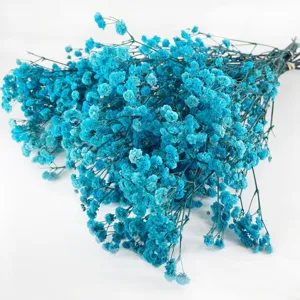 Beautiful blue preserved baby's breath dried flower bunch for romantic home decor and gifts.