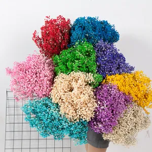 Kleurrijke geconserveerde gipskruid droogbloemen boeket voor romantisch cadeau en decoratie