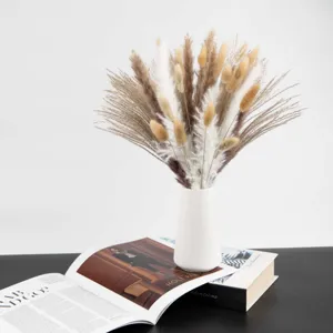 Dried pampas grass bunny tails bouquet in white ceramic vase home decor floral arrangement.