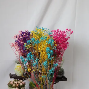 Colorful preserved baby's breath dried flower bouquet for floral arrangement and home decor.