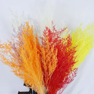 Colorful dried flowers bouquet natural statice floral arrangement for home decor gift