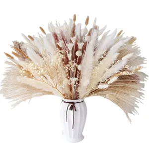 Natural dried flower bouquet with pampas grass, bunny tails and billy balls in a white vase.