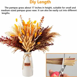 Natural dried pampas grass bouquet for home decor, beautiful fluffy rabbit tail grass arrangement.