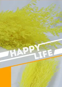 Bleached yellow statice dried flower bouquet natural floral material for gift box decoration.