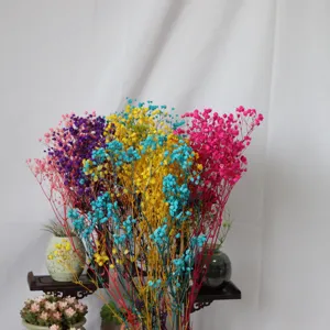 Colorful preserved baby's breath dried flower bouquet for home floral decoration and romantic gifts.