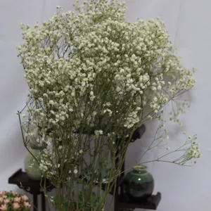Preserved baby's breath dried flowers bouquet, perfect for floral arrangement and home decor.