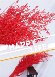 Natural red statice dried flower bouquet for home decoration gift box floral arrangement