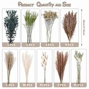 Bouquet de fleurs séchées naturelles herbe de la pampa quantité assortie pour déco.