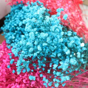 Preserved baby breath dried flowers colorful gypsophila bouquet floral arrangement home decor