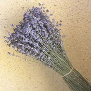 Close-up detail shot of a natural dried lavender bouquet, tied with rustic twine for home decor.