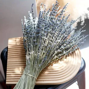 Natural Dried Lavender Bouquet Dried Flowers Bunch For Home Decor Bedroom Living Room Wedding Party Photography Props