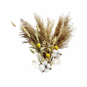 Natural dried flower bouquet pampas grass rabbit tail cotton home decor floral arrangement