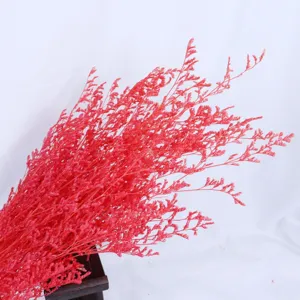 Vibrant red statice dried flowers bouquet detail, perfect for floral arrangements and gift boxes.