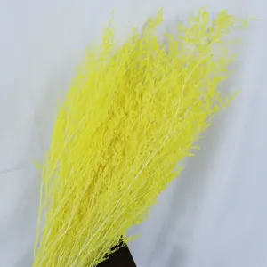 Yellow dried statice flower botanical detail shot showcasing natural stems and bright color