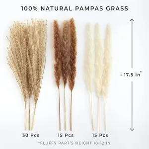 Φυσικό pampas grass αποξηραμένα λουλούδια 60τμχ αφράτο καλάμι για διακόσμηση σπιτιού