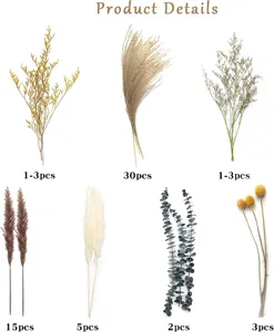 Assorted natural dried flowers bouquet with pampas grass and eucalyptus for home decor.