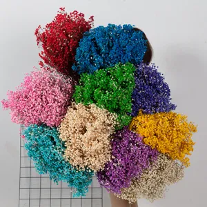 Kleurrijke geconserveerde gipskruid droogbloemen boeket voor prachtige interieurdecoratie.