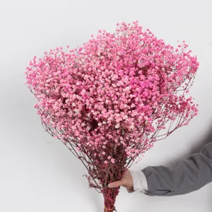 Gedetailleerd close-up uitzicht op roze geconserveerde gipskruid gedroogde bloemenboeket.