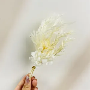 Mini bouquet di fiori secchi bianchi per decorazione scatola regalo e matrimonio.