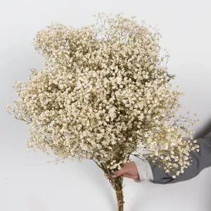 Gedetailleerd overzicht van een prachtig wit gedroogd gipskruid bloemboeket voor decoratie.