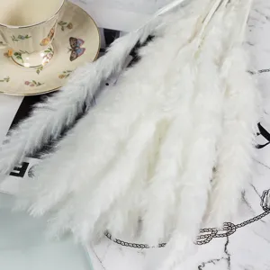 Λευκό αποξηραμένο pampas grass μπουκέτο για εσωτερική διακόσμηση σπιτιού και floral διακόσμηση.
