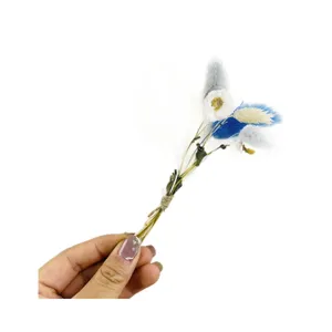 Mini Trockenblumen Strauß Hand gebunden kleine Blumen für Zuhause Fenster Deko Geschenk.
