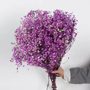 Gedetailleerd uitzicht op paarse gedroogde gipskruid bloemenboeket met dichte bloesems.