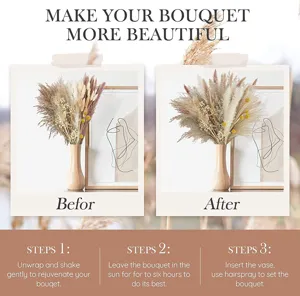 Natural dried pampas grass bouquet for home decor, fluffy floral arrangement, long-lasting.