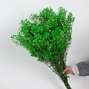 Natuurlijke gedroogde groene gipskruid bos geconserveerde bloemen voor cadeaus.