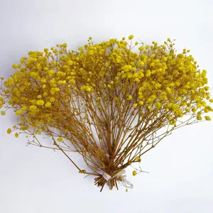 Yellow dried baby's breath flower bouquet mini preserved flowers DIY home decor material