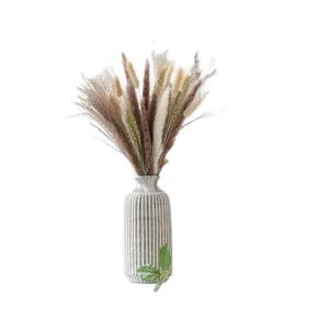 Natural dried pampas grass bouquet with ceramic vase for home decor and floral arrangement.
